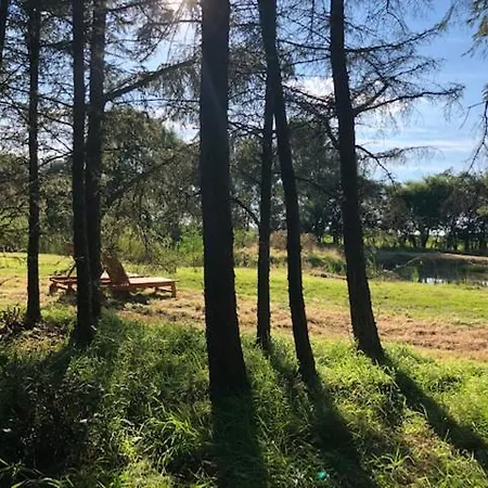 Ziegelmacher Voern - Achten - Luett * Rodenäs