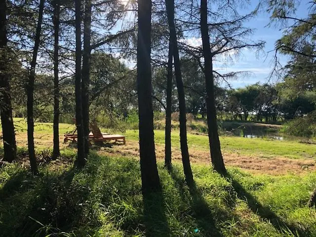 Ziegelmacher Voern - Achten - Luett * Rodenäs